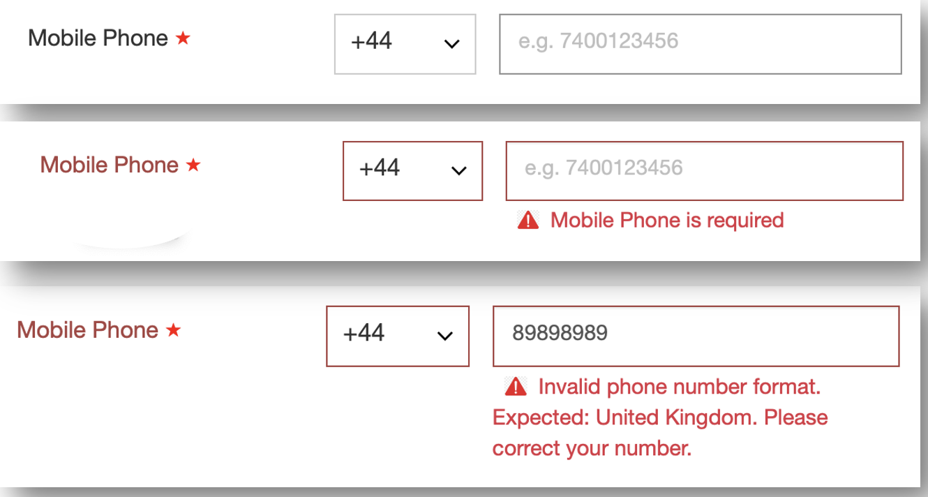 Examples_of_Allowed_Inputs.png