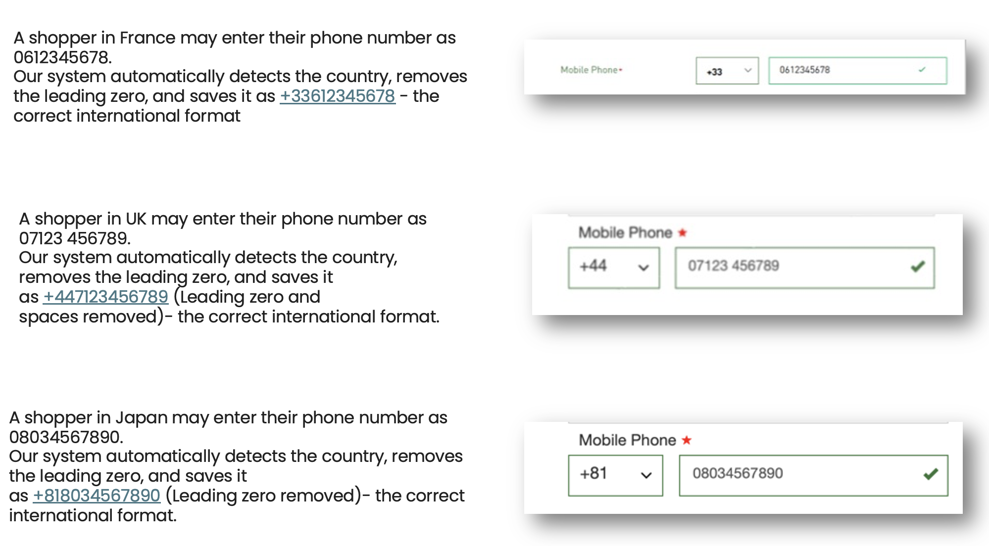 Examples_of_Allowed_Inputs_2.png